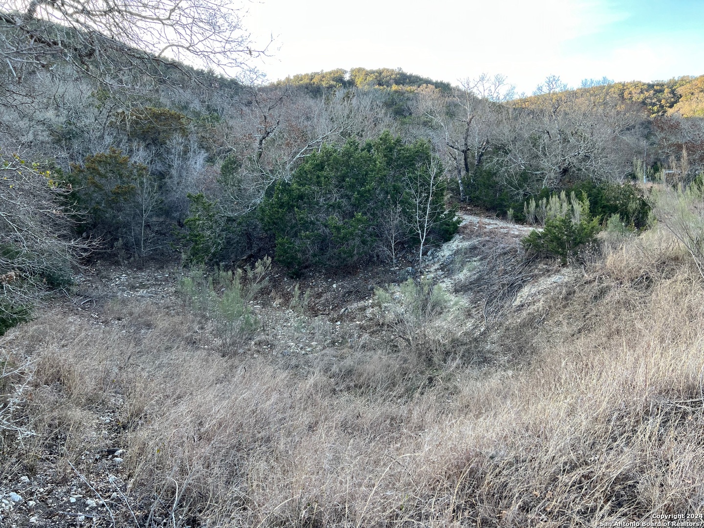 Tarpley, Texas 78003, United States, ,Land,Active,66472