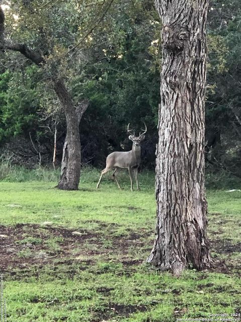 A home in New Braunfels