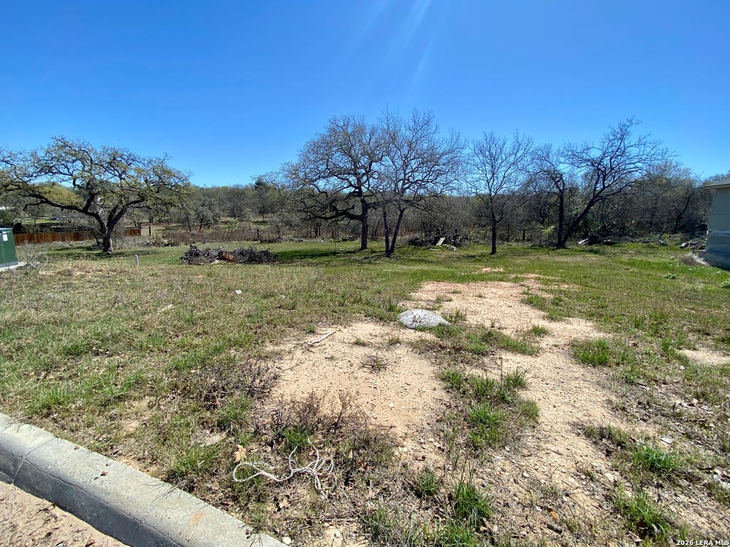 Photo of 129 Ash Parkway, La Vernia, TX 78121 (MLS # 1948762)