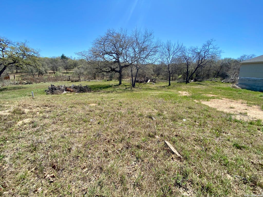 Photo of 129 Ash Parkway, La Vernia, TX 78121 (MLS # 1948762)