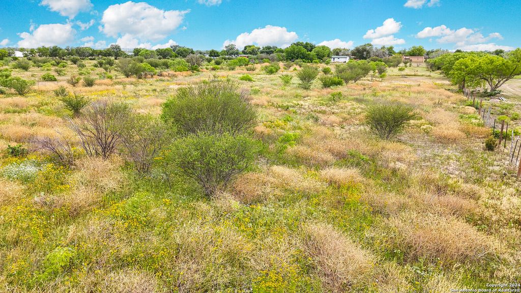 Photo of 302 PR 5726, Devine, TX 78016 (MLS # 1855513)