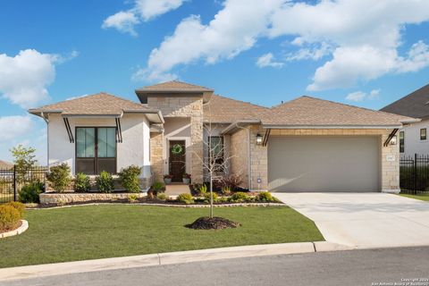 23427 Grande Vista San Antonio TX 78261