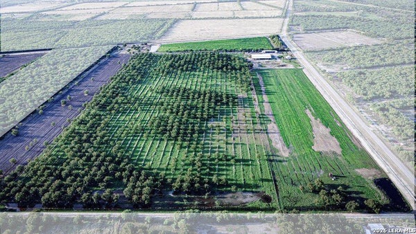 ADDRESS PRIVATE, QUEMADO, TX 78877 - Image 4f84cdf7262763ebcb8a180212e8aac4/3808892498