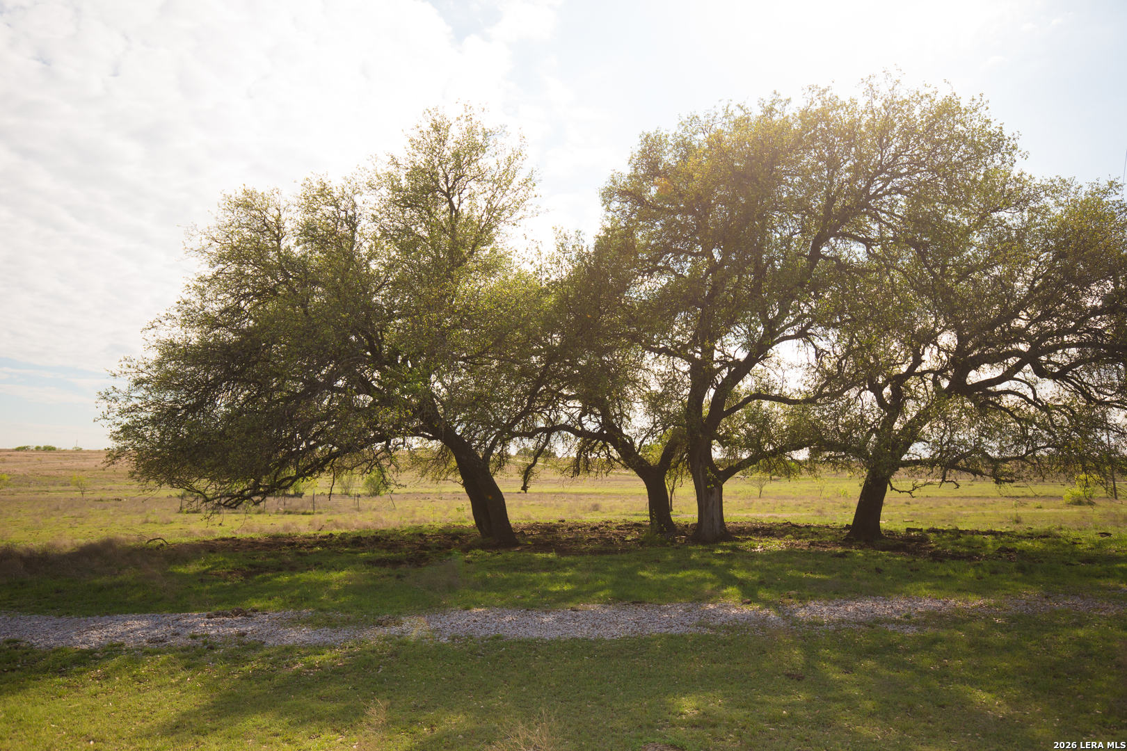 1843 Savanna Ridge Ranch Rd