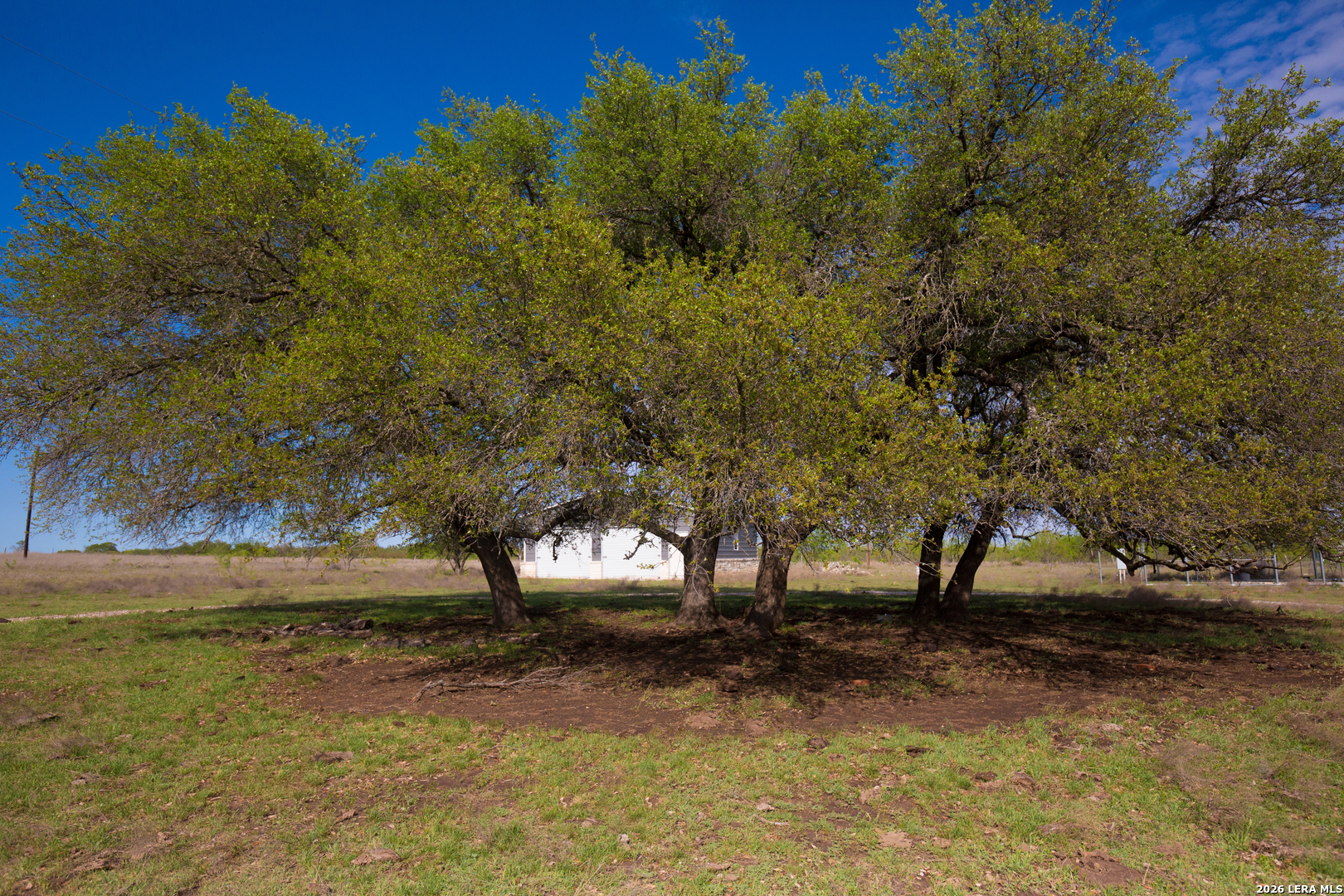 1843 Savanna Ridge Ranch Rd
