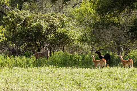 8841 Fm 775 La Vernia TX 78121