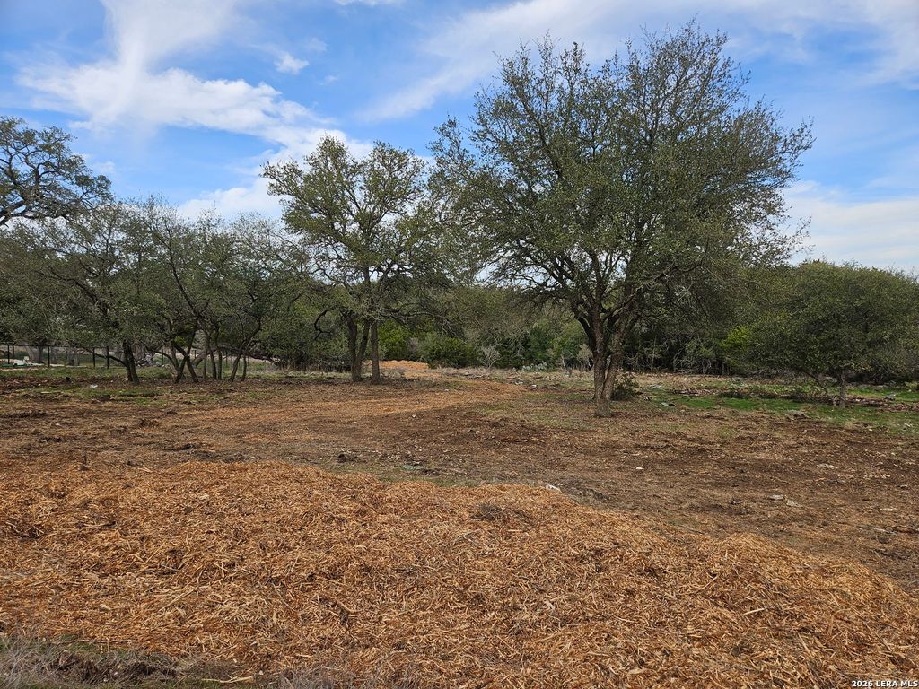 Photo of 206 Falling Hills, New Braunfels, TX 78132 (MLS # 1944515)