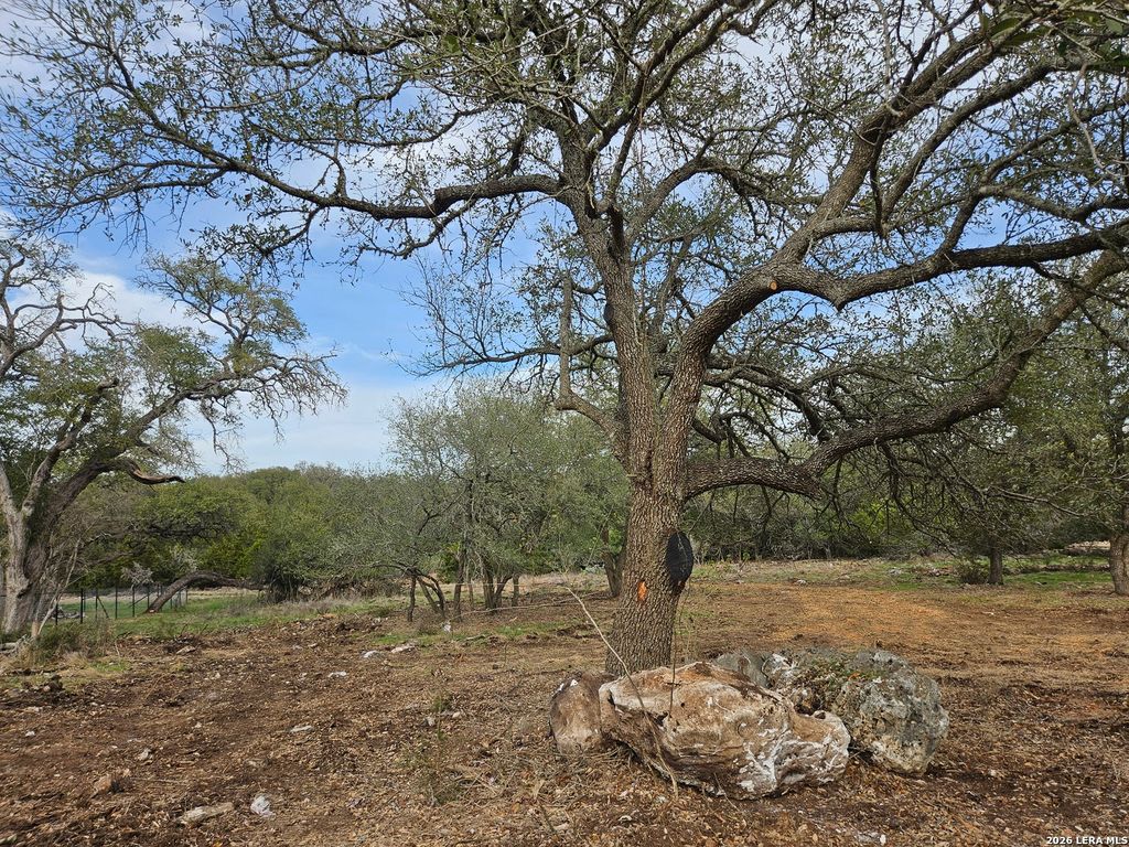Photo of 206 Falling Hills, New Braunfels, TX 78132 (MLS # 1944515)