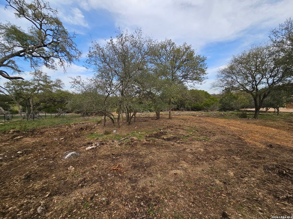 Photo of 206 Falling Hills, New Braunfels, TX 78132 (MLS # 1944515)