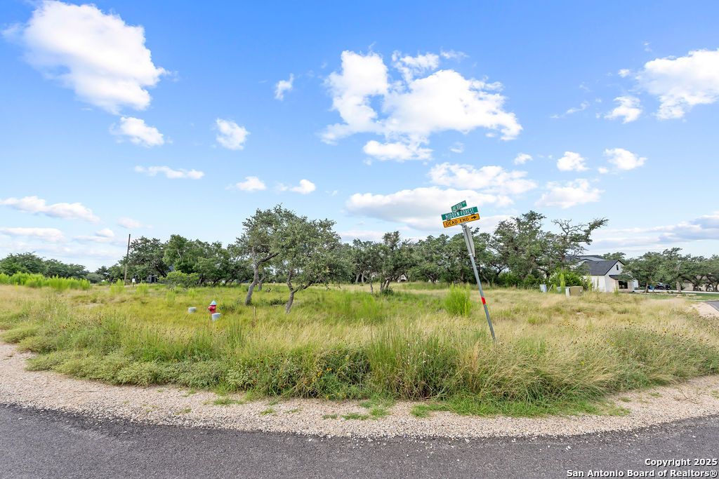 Photo of 1559 Lake Ridge Blvd, Canyon Lake, TX 78133 (MLS # 1886947)