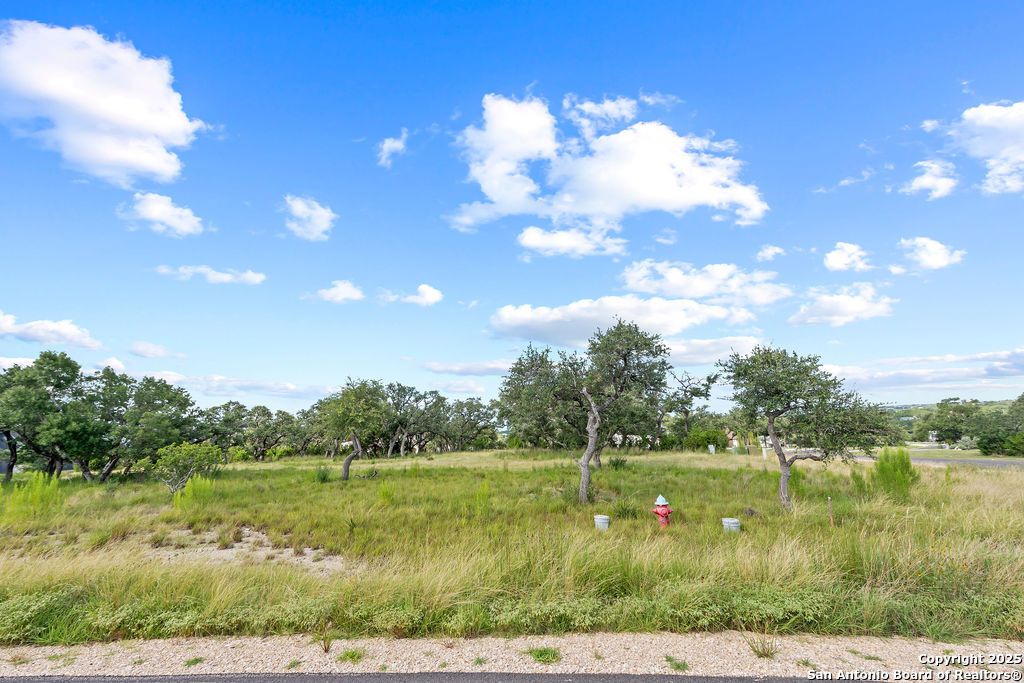 Photo of 1559 Lake Ridge Blvd, Canyon Lake, TX 78133 (MLS # 1886947)