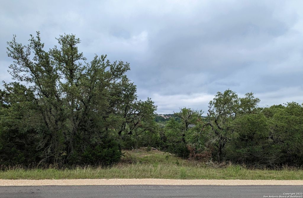 Photo of 138 OYSTER SPRINGS, Canyon Lake, TX 78133 (MLS # 1931539)