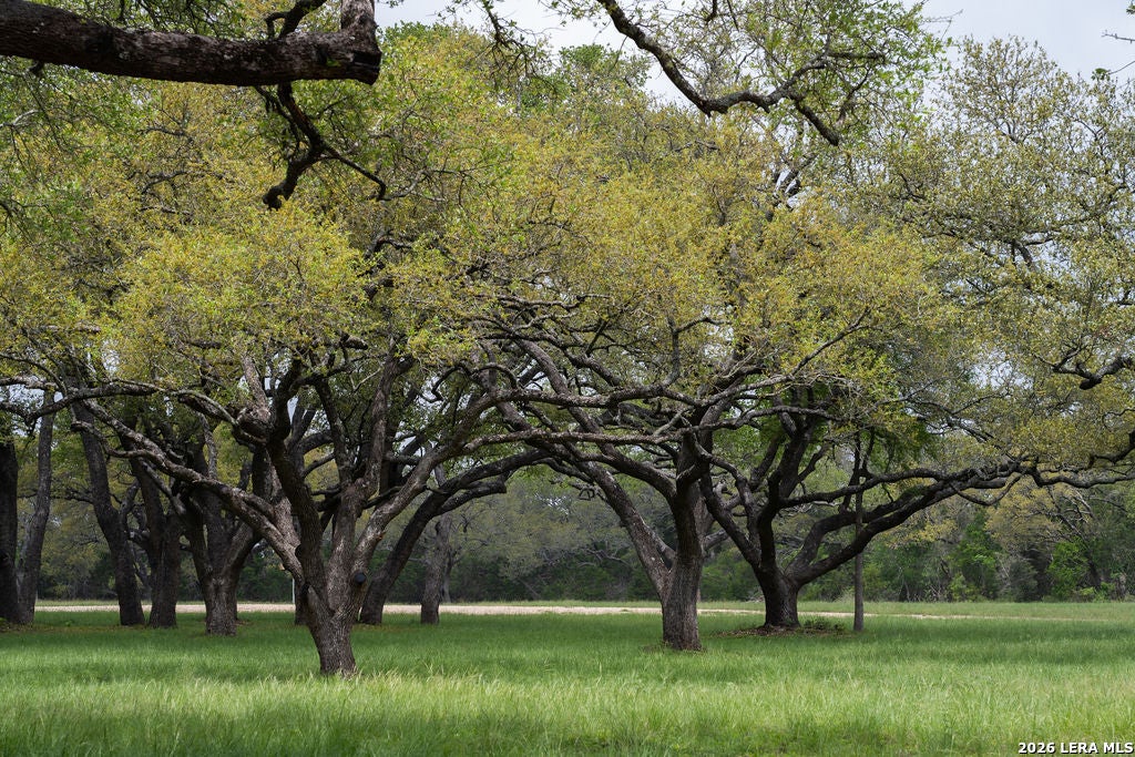 Photo of 426 MILL RUN, New Braunfels, TX 78132 (MLS # 1992052)