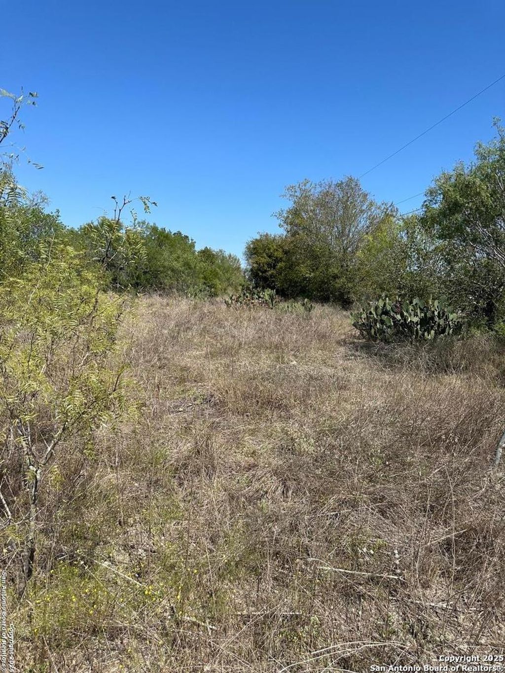 Photo of 4435 stapper Lot 7, St Hedwig, TX 78152 (MLS # 1819059)