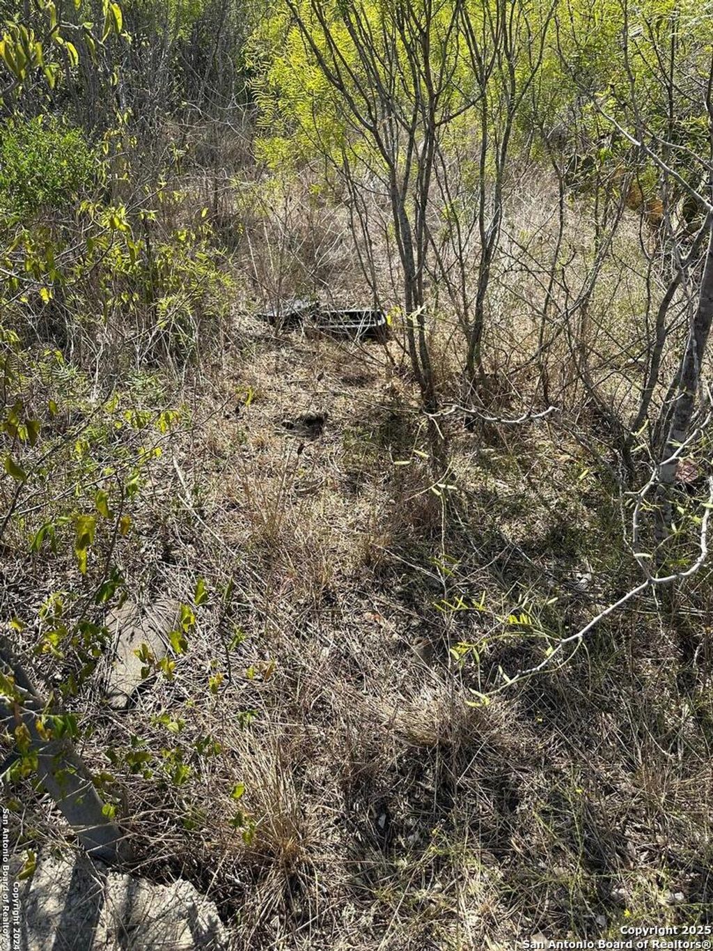 Photo of 4435 stapper Lot 7, St Hedwig, TX 78152 (MLS # 1819059)