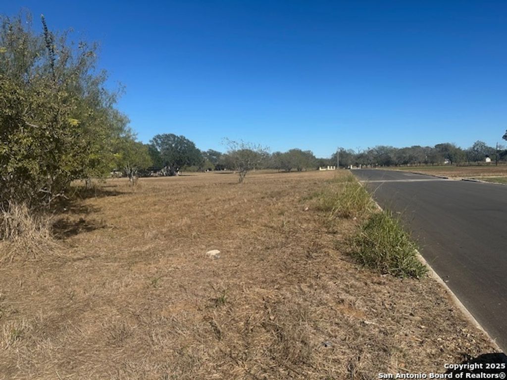 Photo of 000 PULLIAM DR, Pleasanton, TX 78064 (MLS # 1919767)