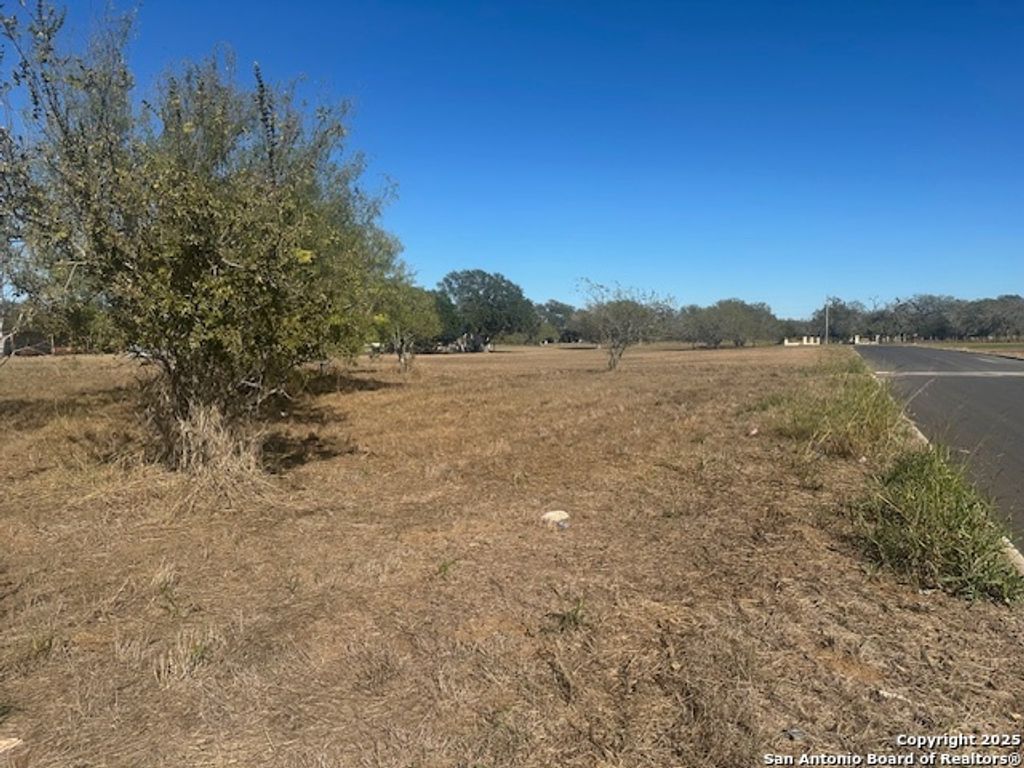 Photo of 000 PULLIAM DR, Pleasanton, TX 78064 (MLS # 1919767)