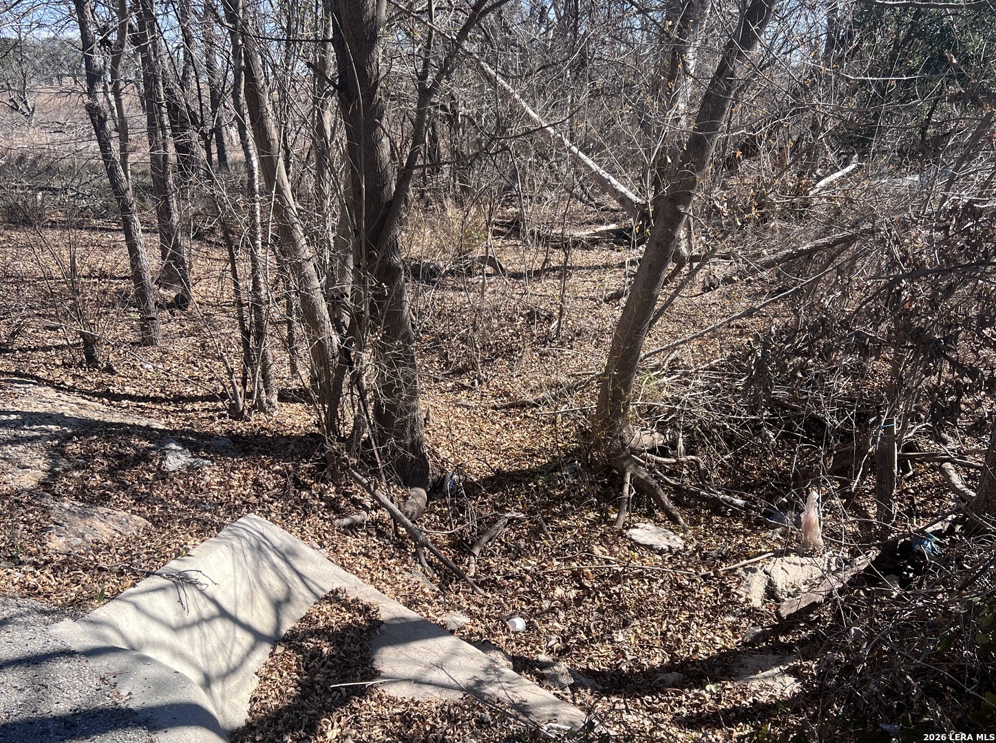 Photo 1 of 5 — TBD ESS RD, Atascosa, TX 78002