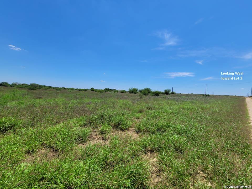 Photo of 277 Joy Ln, Pleasanton, TX 78064 (MLS # 1963587)