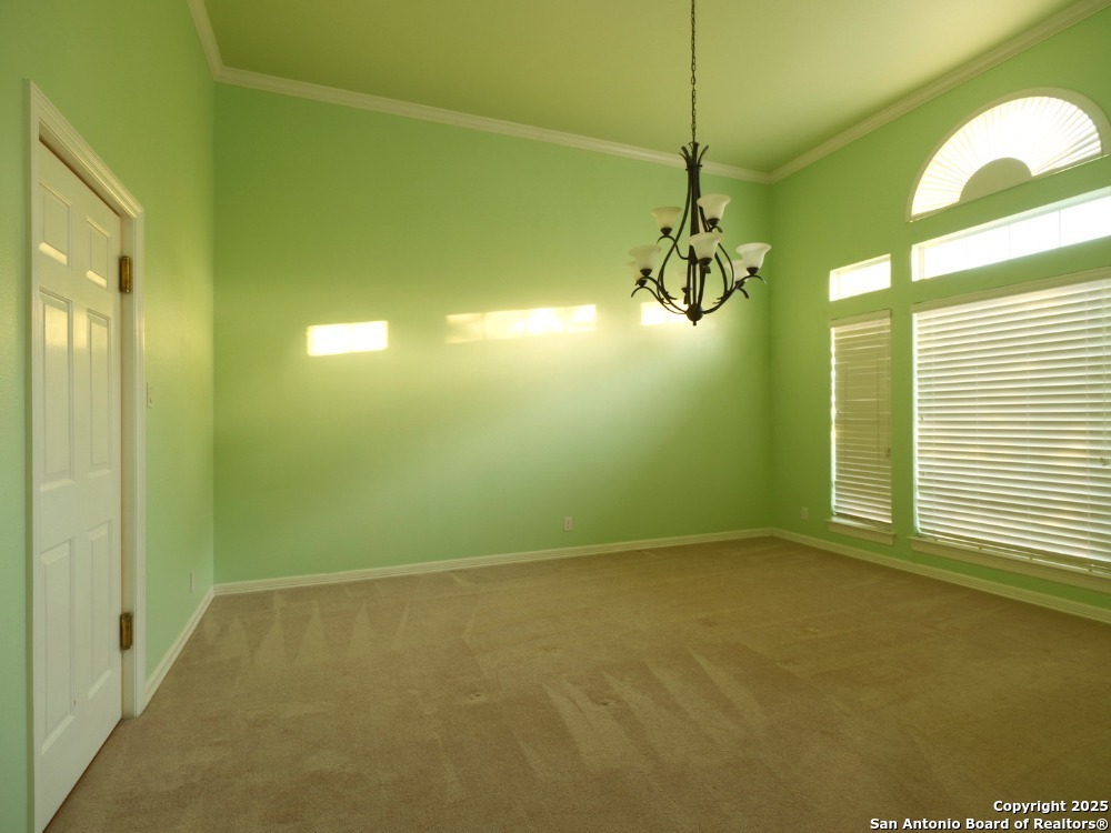 8814 Spanish Moss