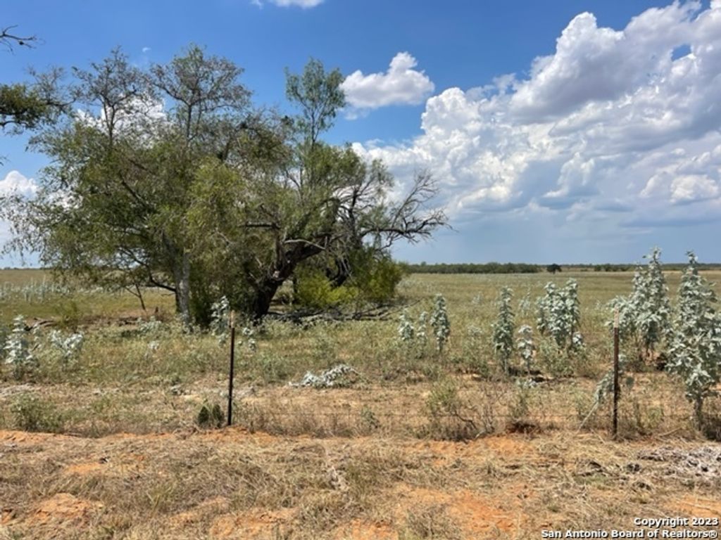 Photo of 843 County Road 232, Floresville, TX 78114 (MLS # 1910415)