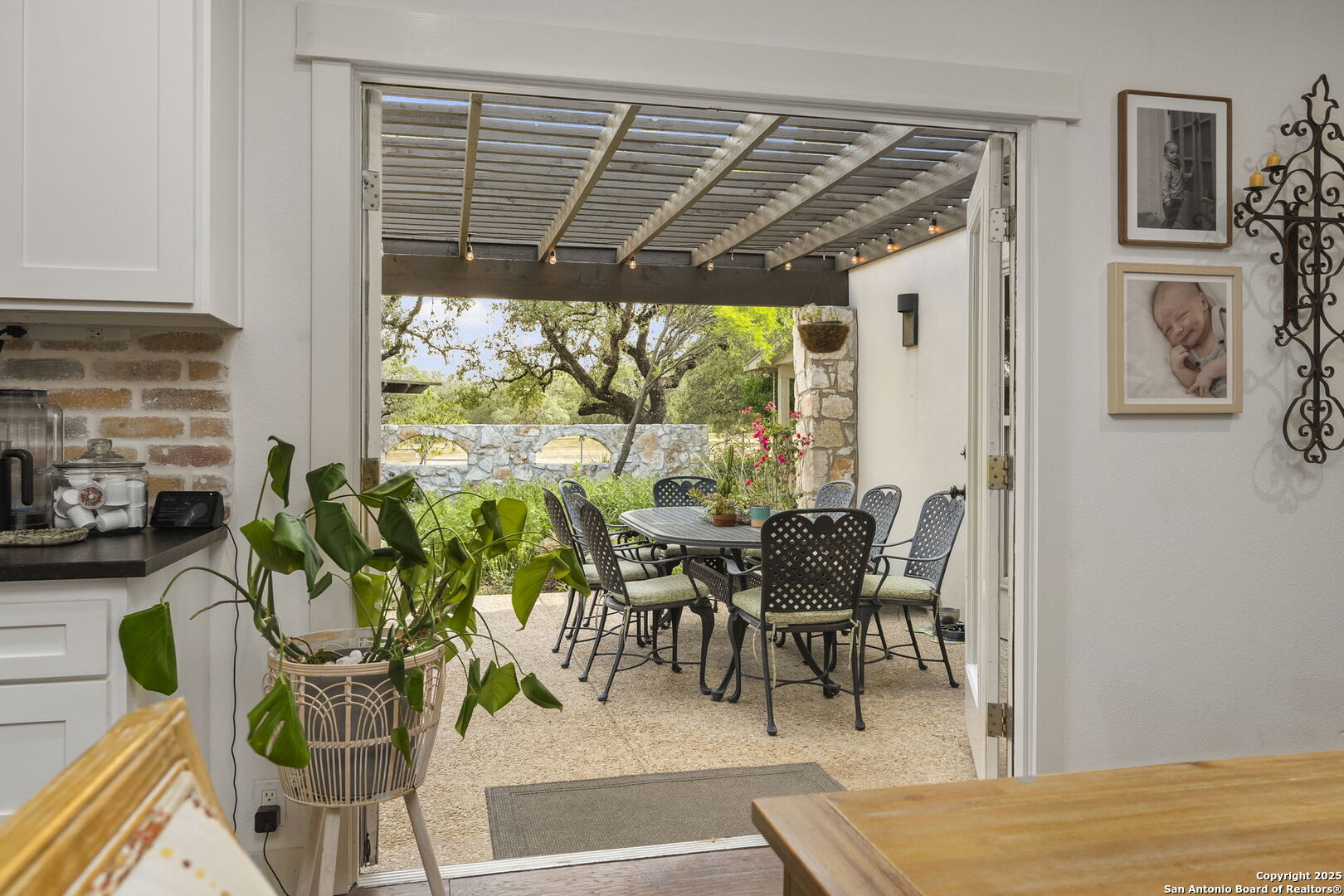 22050 Hanging Oak