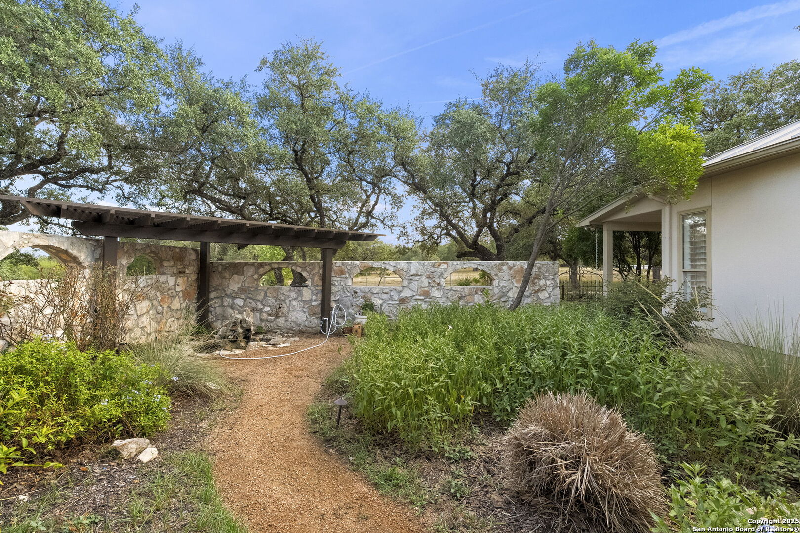 22050 Hanging Oak