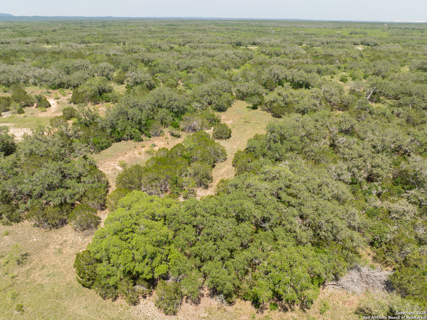 LOT 46 Antler Forest