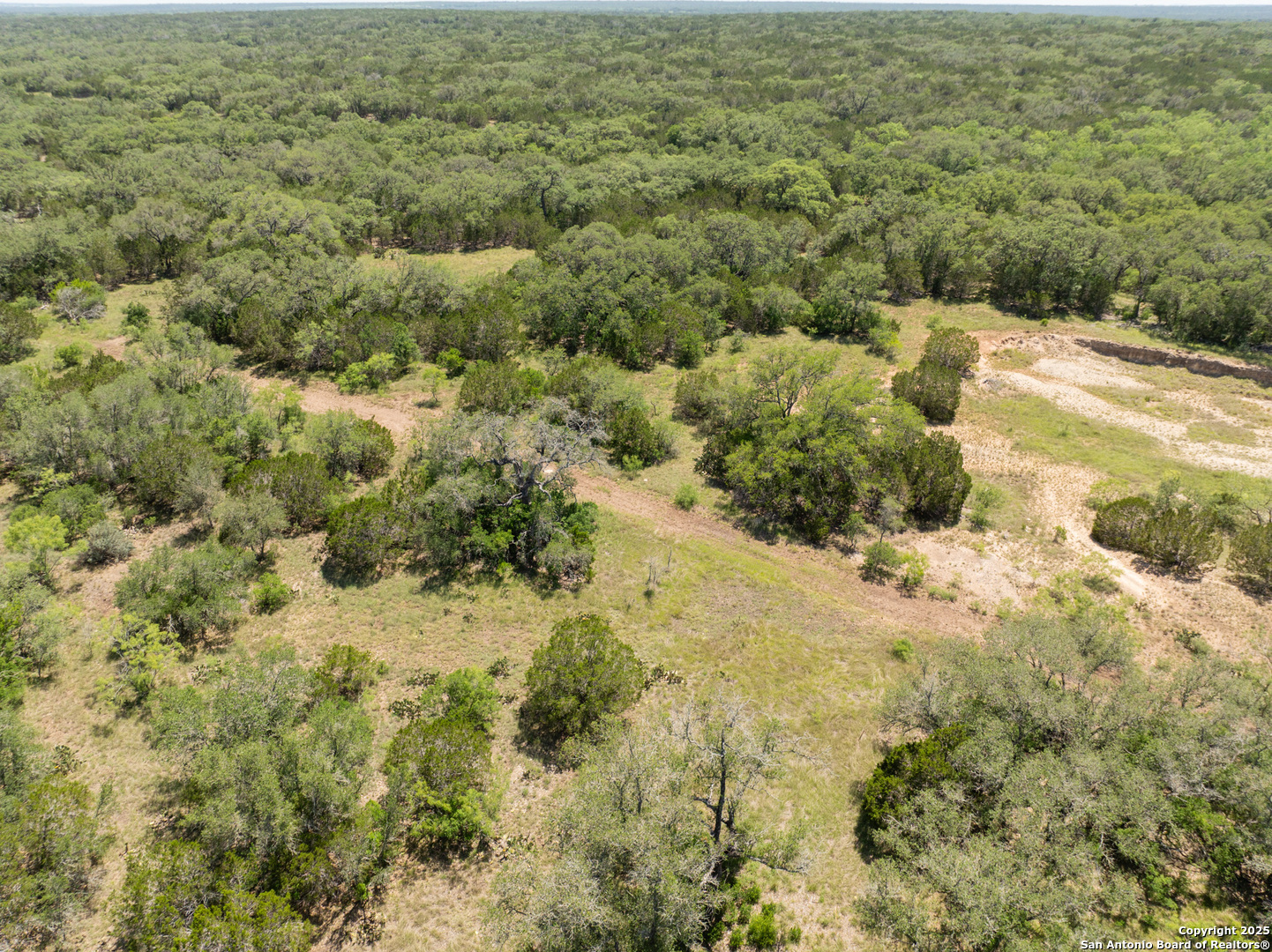 LOT 46 Antler Forest