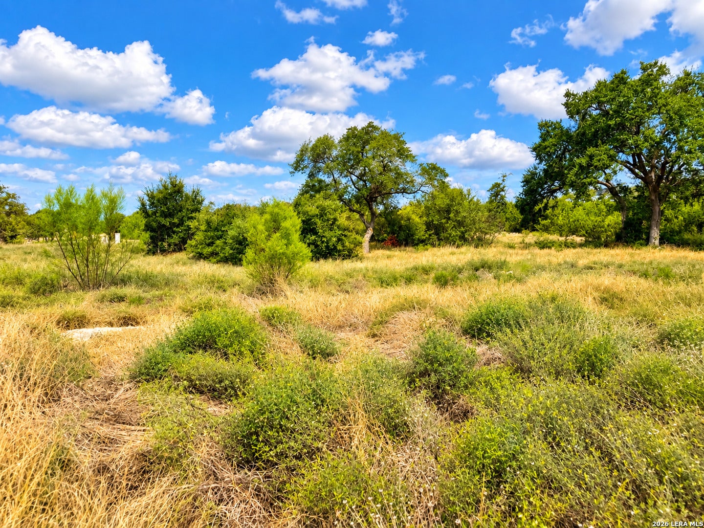 26003 Cotaco Creek