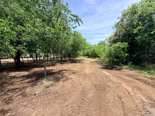 FARM TO MARKET RD 471, NATALIA, TX 78059 - Image 5705a0f2f3dfca3feb11be1ea12c6948/950948854
