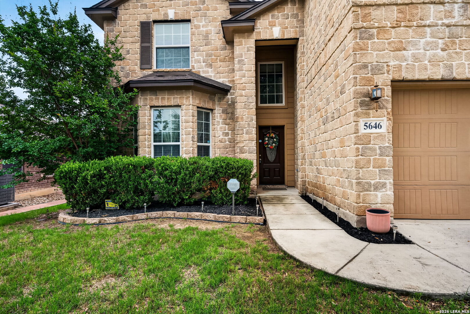 5646 Lilac Willow