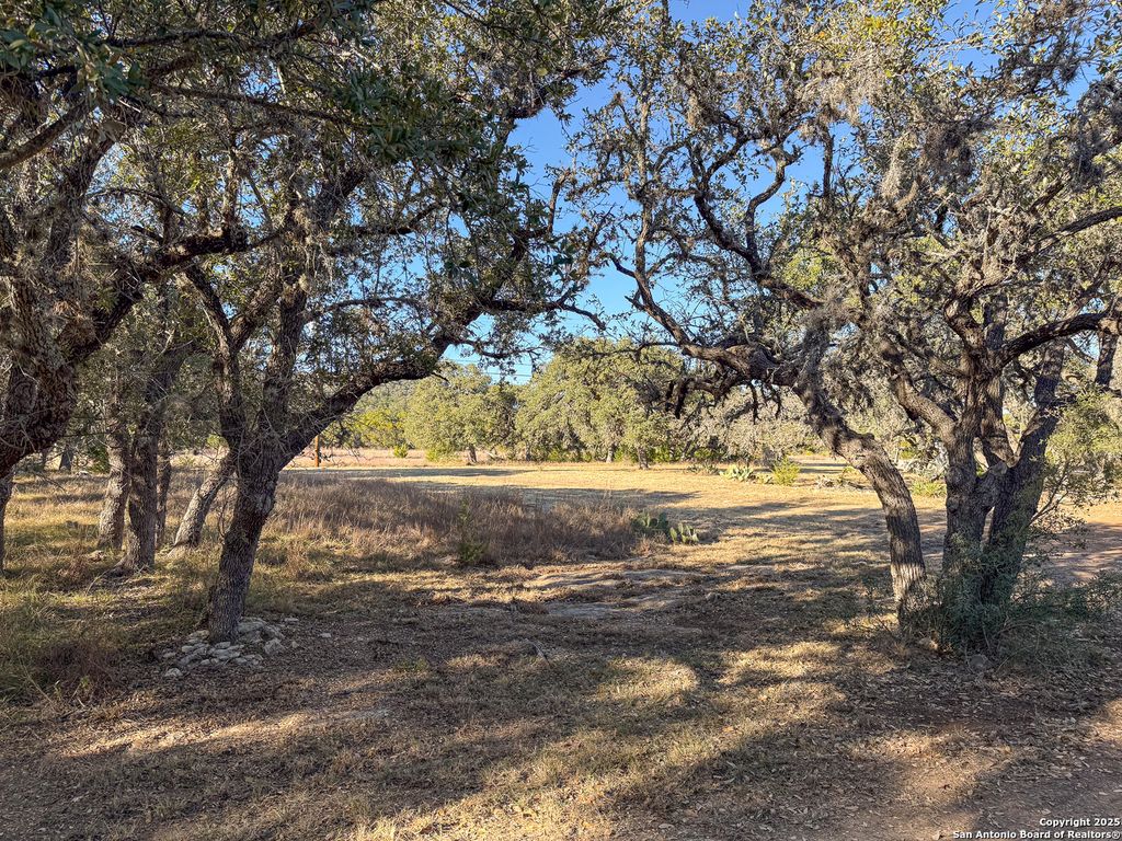Photo of 235 Baptist Lane, Tarpley, TX 78883 (MLS # 1930111)