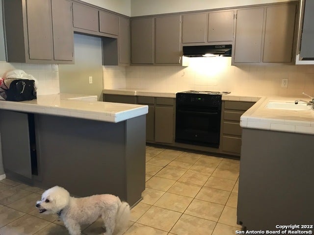 Photo of 175 Harrigan Ct, Alamo Heights, TX 78209 (MLS # 1971386)