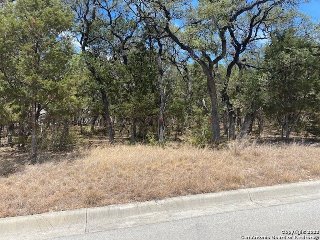 Photo of 79 PERCIVAL, San Antonio, TX 78230 (MLS # 1626029)