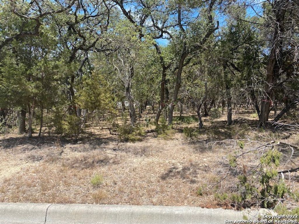 Photo of 79 PERCIVAL, San Antonio, TX 78230 (MLS # 1626029)