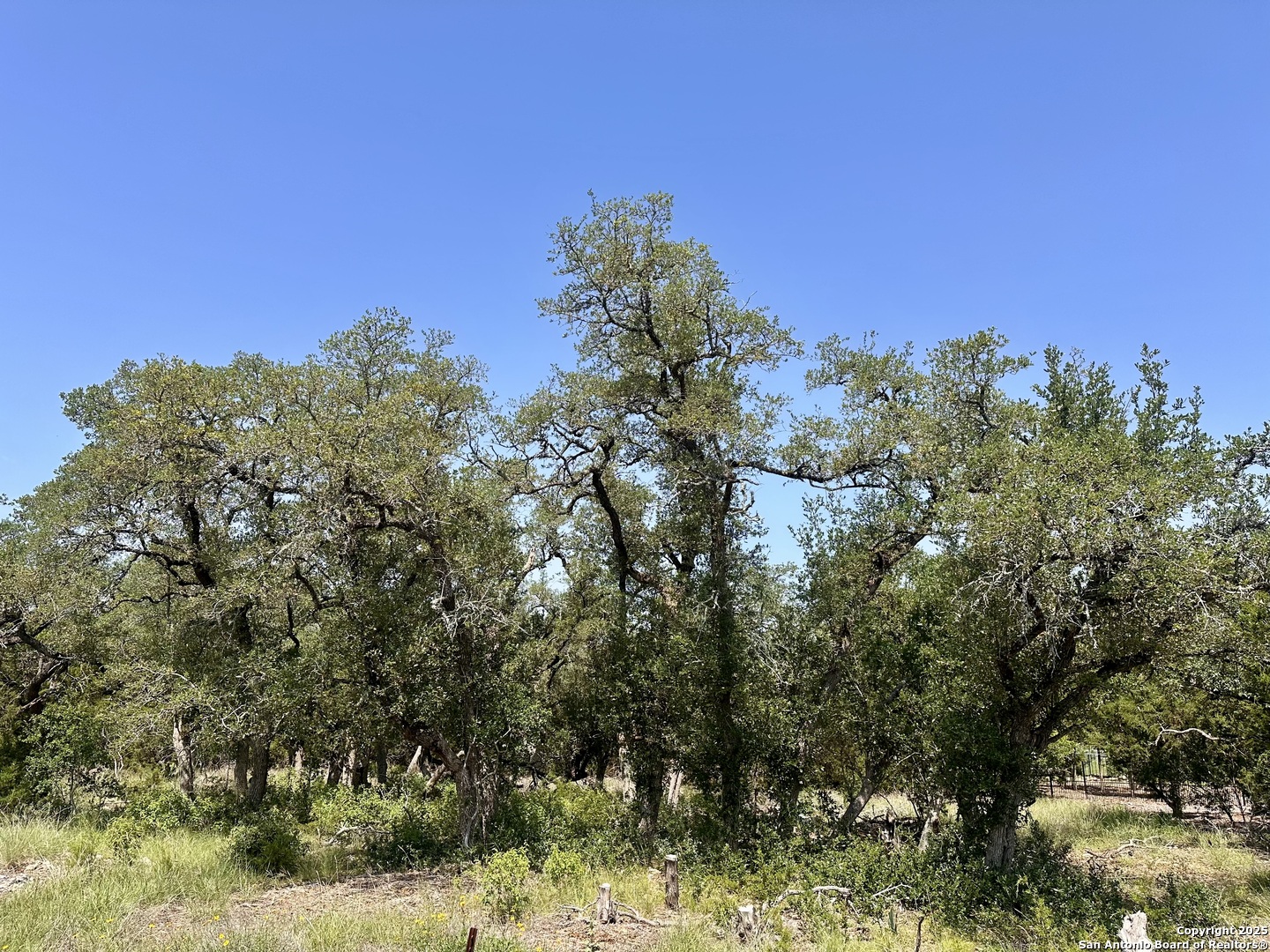 288 Pioneer Crest