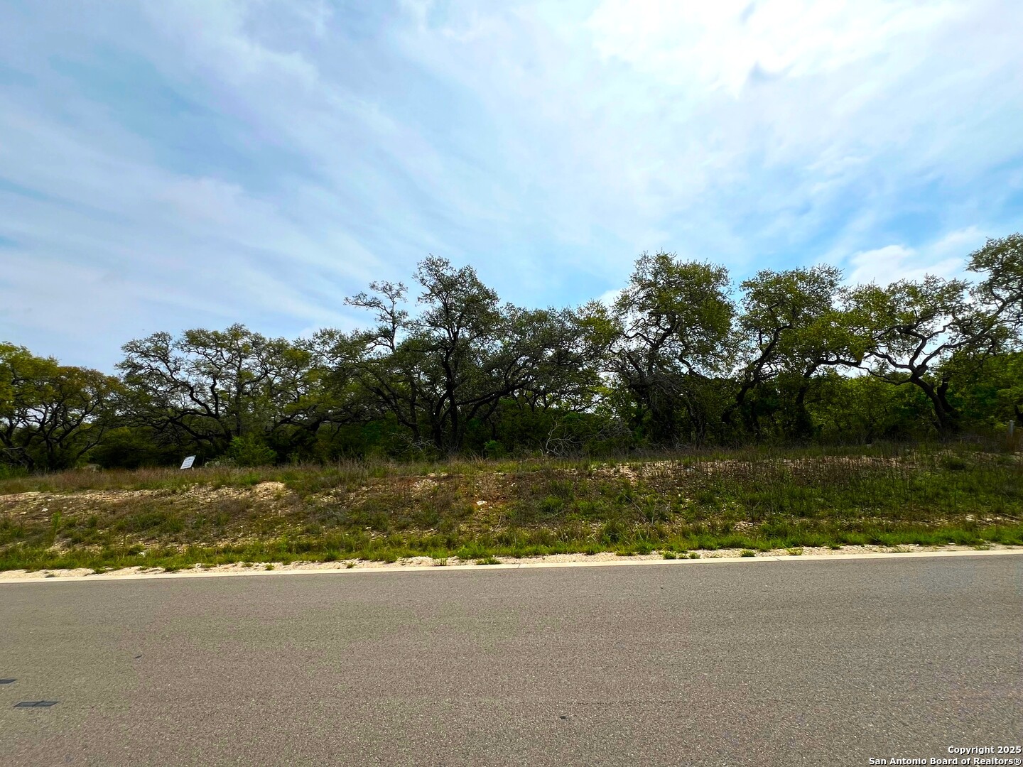 34676 Ansley Ridge Trl