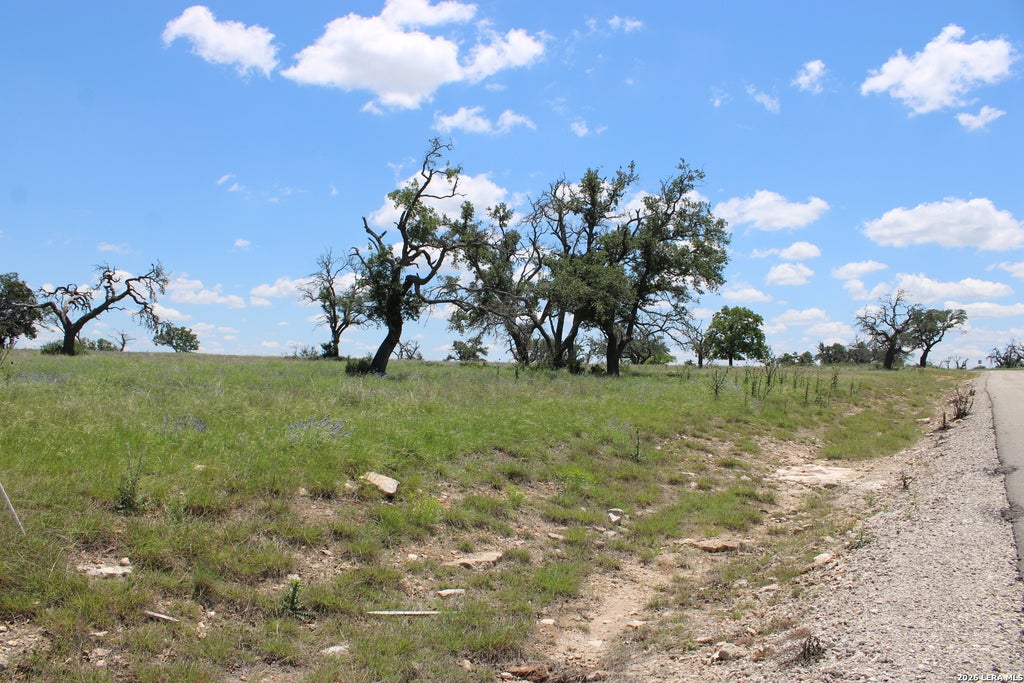 Photo of 135 PACK SADDLE LN, Fredericksburg, TX 78624 (MLS # 1965635)