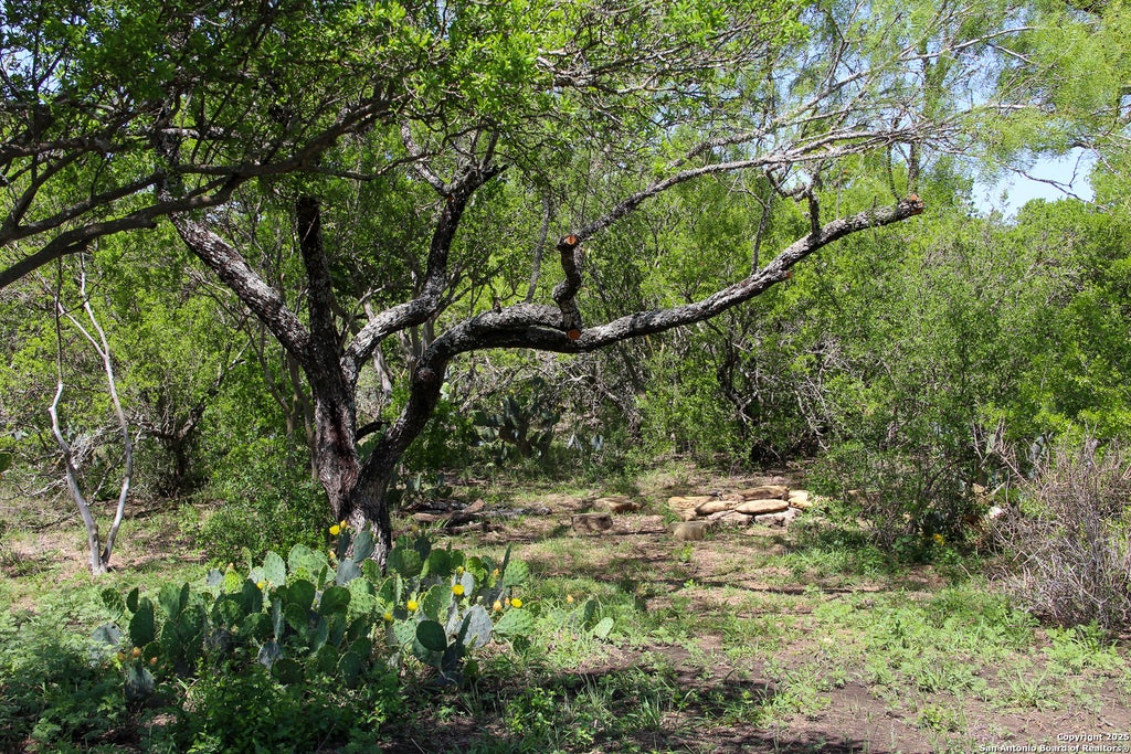 Photo of 1400 FM 1343, Castroville, TX 78009 (MLS # 1882883)