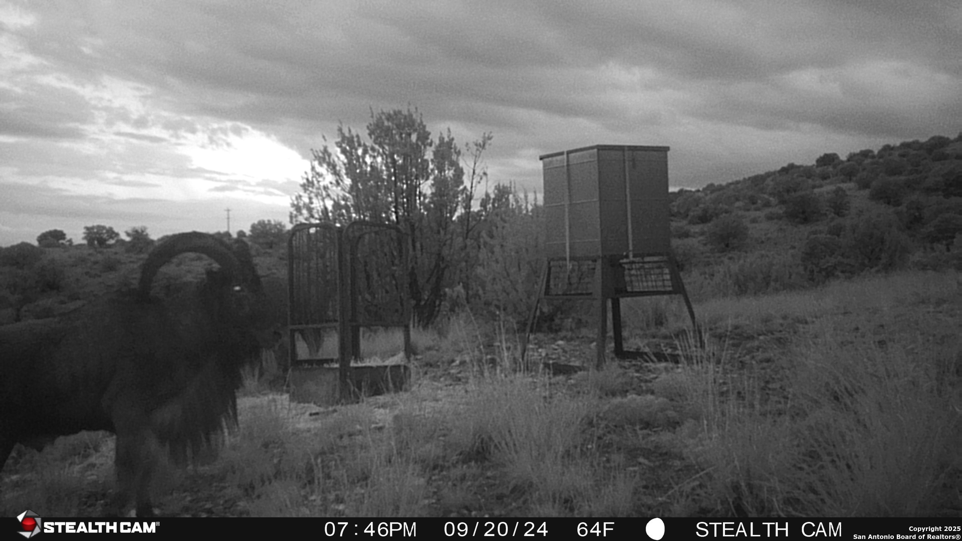 241 dead mans canyon