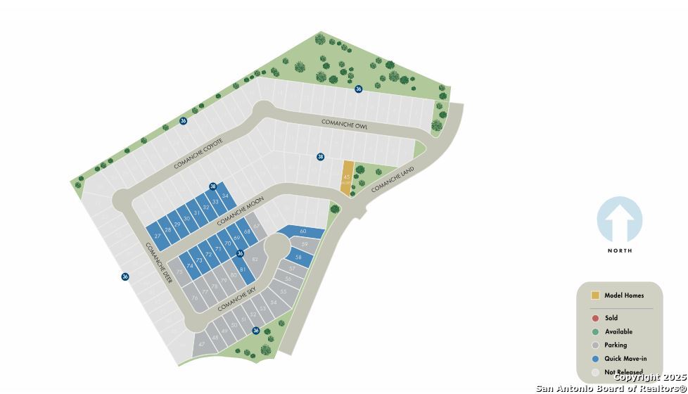 6307 Comanche Coyote