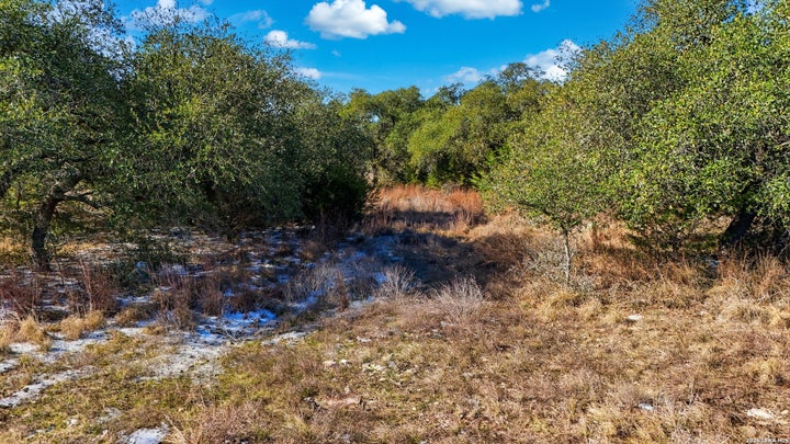 Photo 1 of 25 — 246 Dodder, Spring Branch, TX 78070