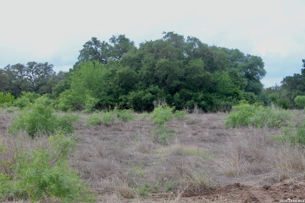 Photo of 000 CR 341, Hondo, TX 78861 (MLS # 1960456)