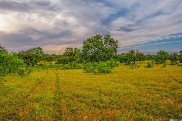 TREADWELL LN, MENARD, TX 76859 - Image 5ccf56479a36e3f0f27c2c536dc2e43e/1822148682
