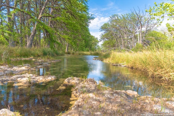 950 RIVER RD, UTOPIA, TX 78884 - Image 5cdba432a00a5248f1e0b769eef3cf41/338912291