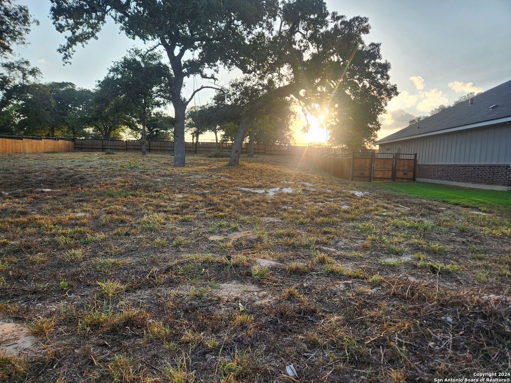 Photo of 213 Ash Parkway, La Vernia, TX 78121 (MLS # 1765810)