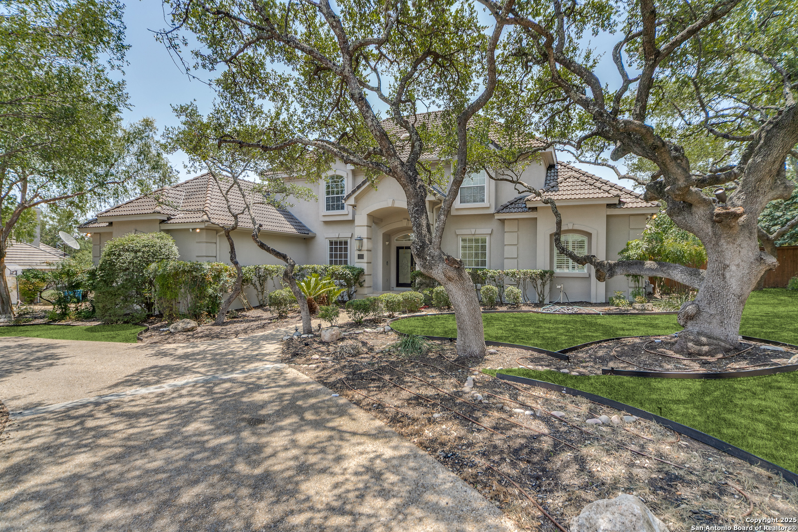 210 Switch Oak