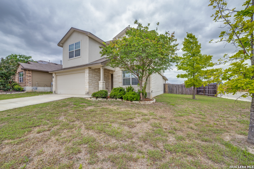 15403 Cooks Petrel