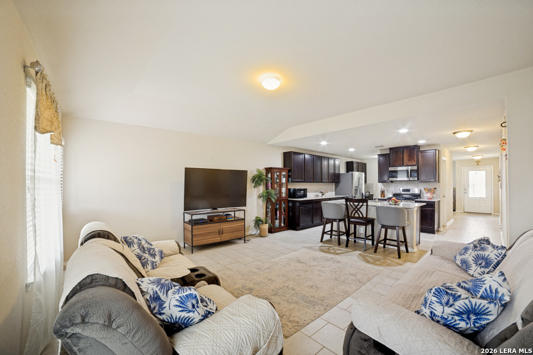 15403 Cooks Petrel